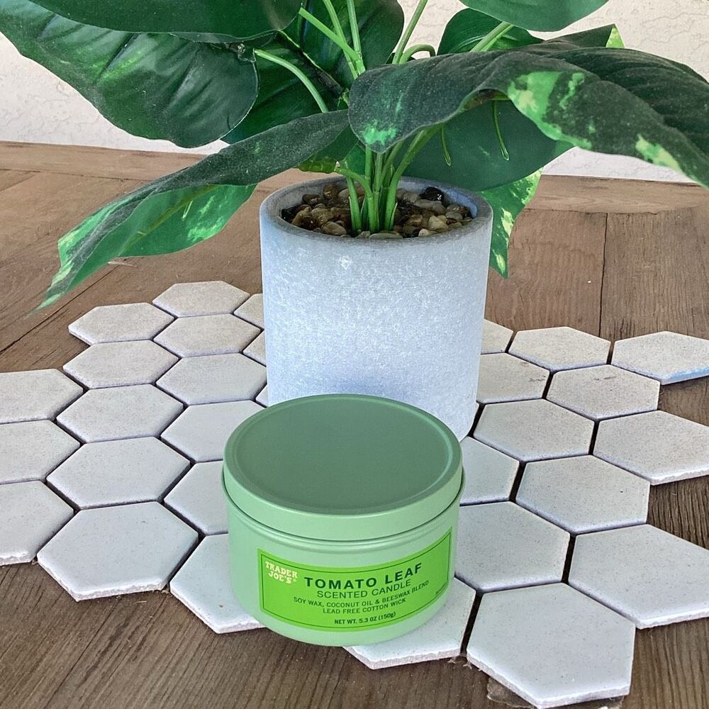 Trader Joe’s NEW Tomato Leaf Scented Candle 5.3 oz Soy Wax Blend Tin